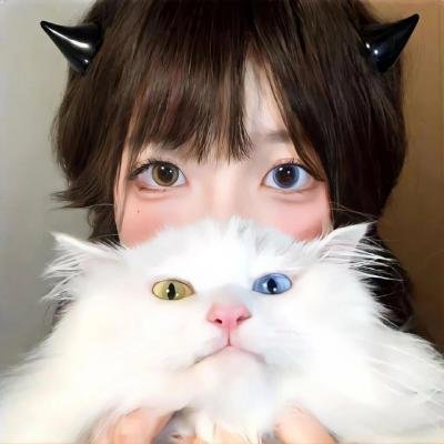 完美释放2012
